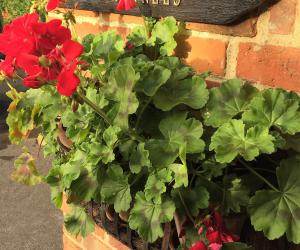 Welcome to the Kennels!